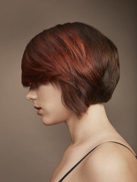 Color Blocking Education Image